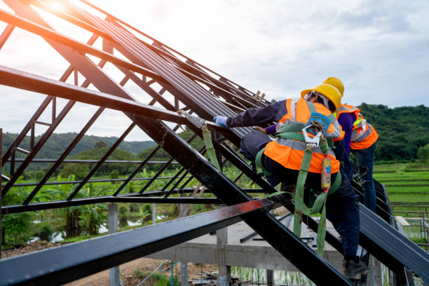 Roof Gutter Cleaning in Lacon, IL