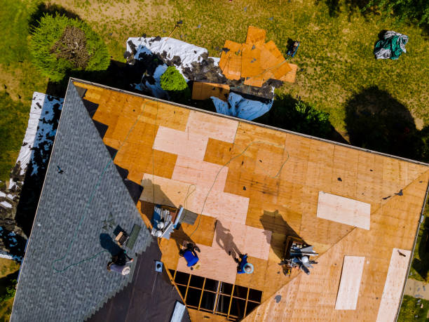 Best Residential Roof Replacement  in Lacon, IL