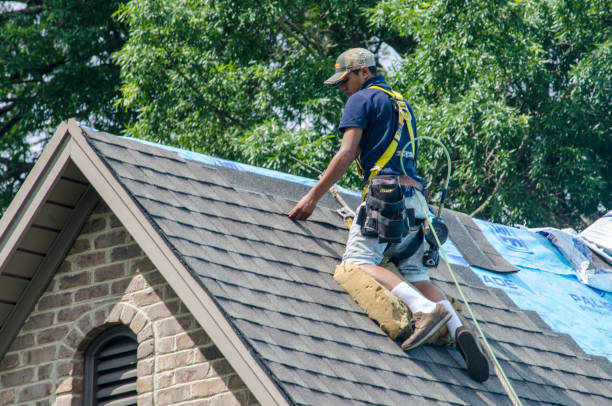 Best Gutter Installation and Roofing  in Lacon, IL